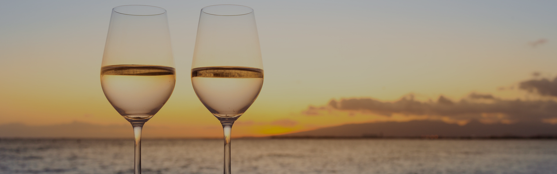 Atardecer y Openbar a bordo por el  Río de la Plata