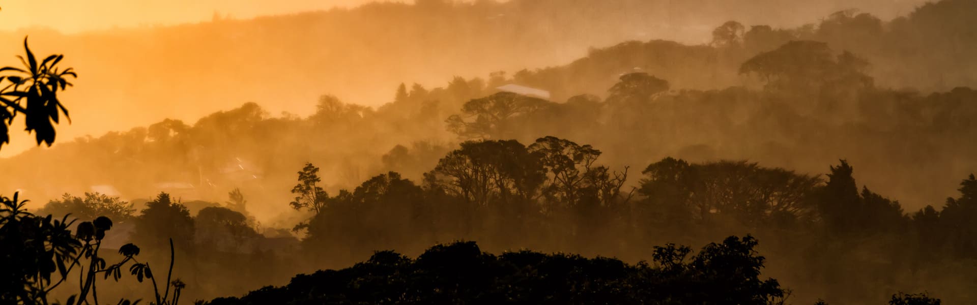 Tour nocturno por Monteverde