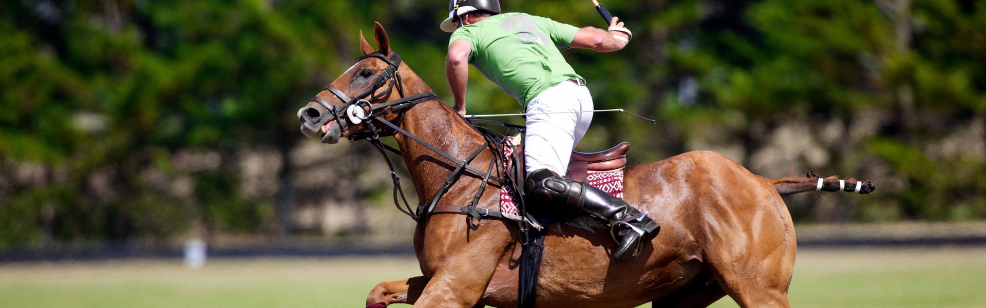 Clases de polo y partido profesional