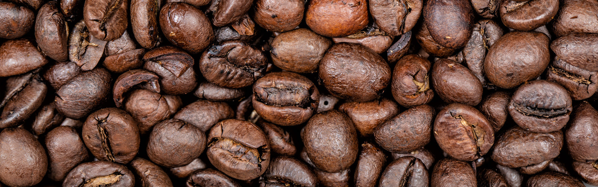 Tirolina y tour de café, cacao y caña de azúcar