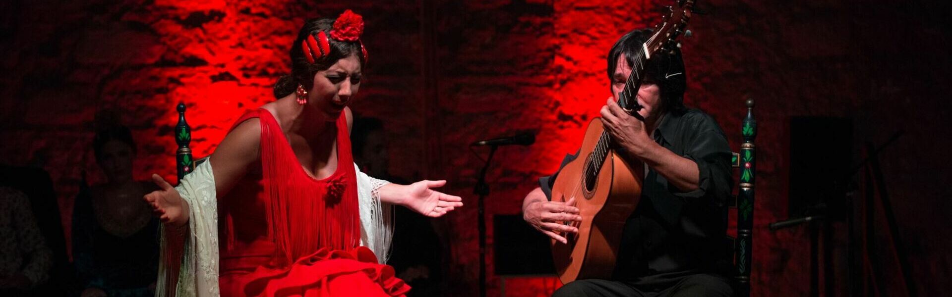Espectáculo de flamenco en Granada