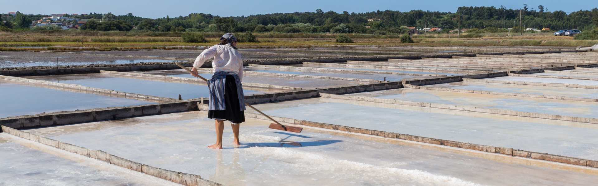 Excursión a Figueira da Foz