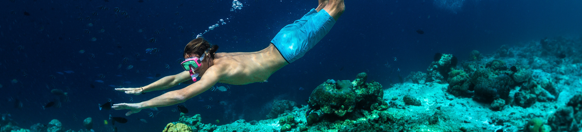 Snorkel en la Roca de los Pelícanos