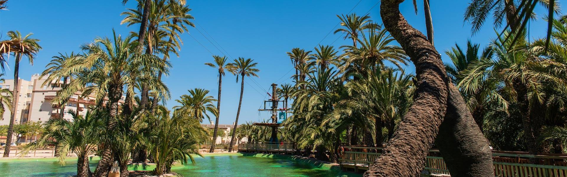 Paseo en barca entre los palmerales de Elche