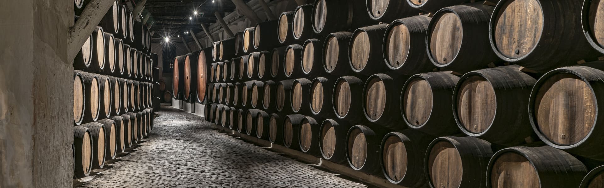Viticultura y cata de vinos en El Penedés