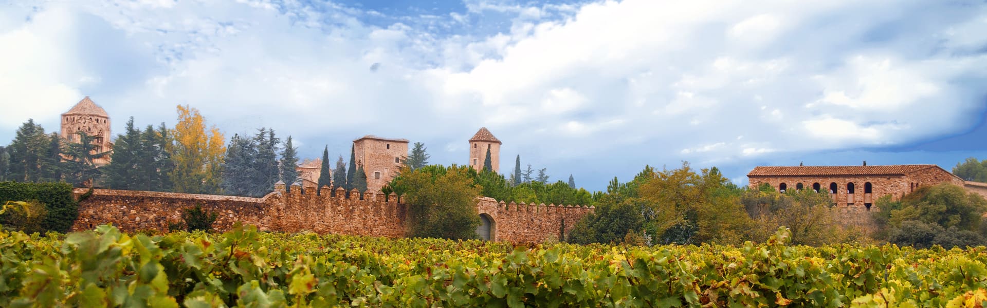 Tour en bicicleta eléctrica y cata de vinos en El Penedés