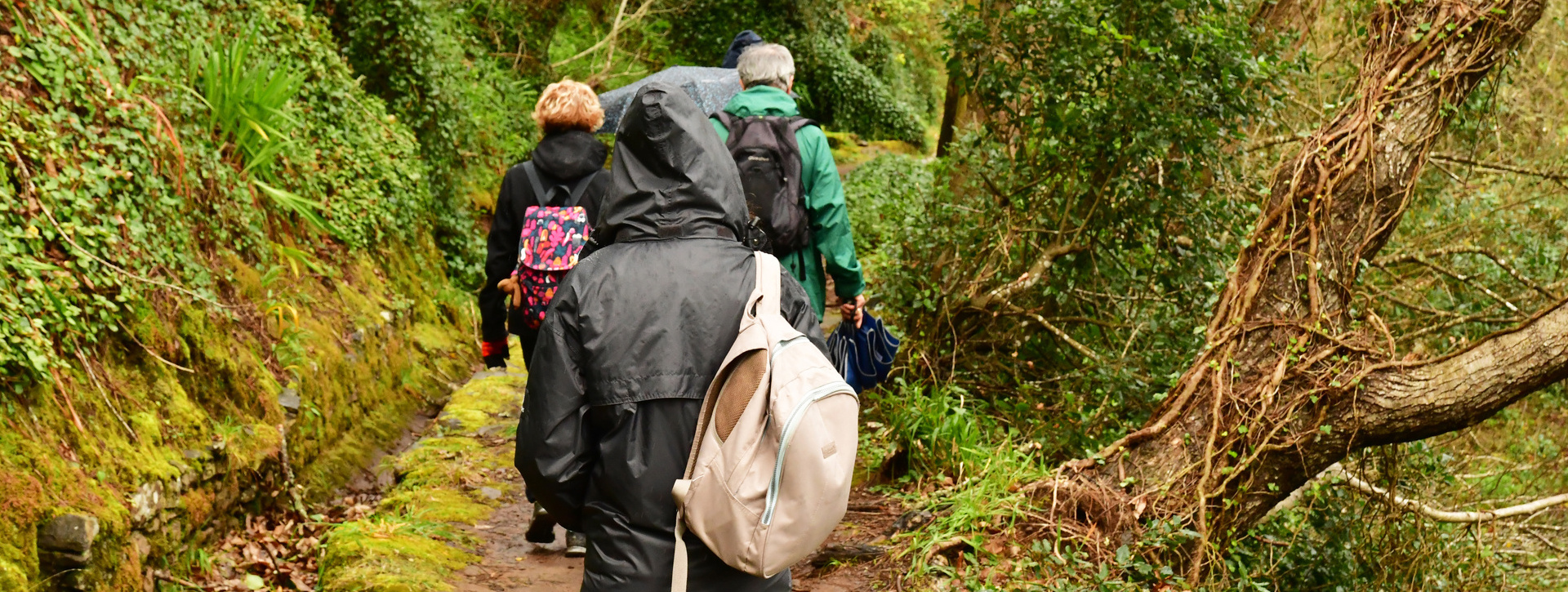 Trekking por el Valle del Paraíso y Rochão