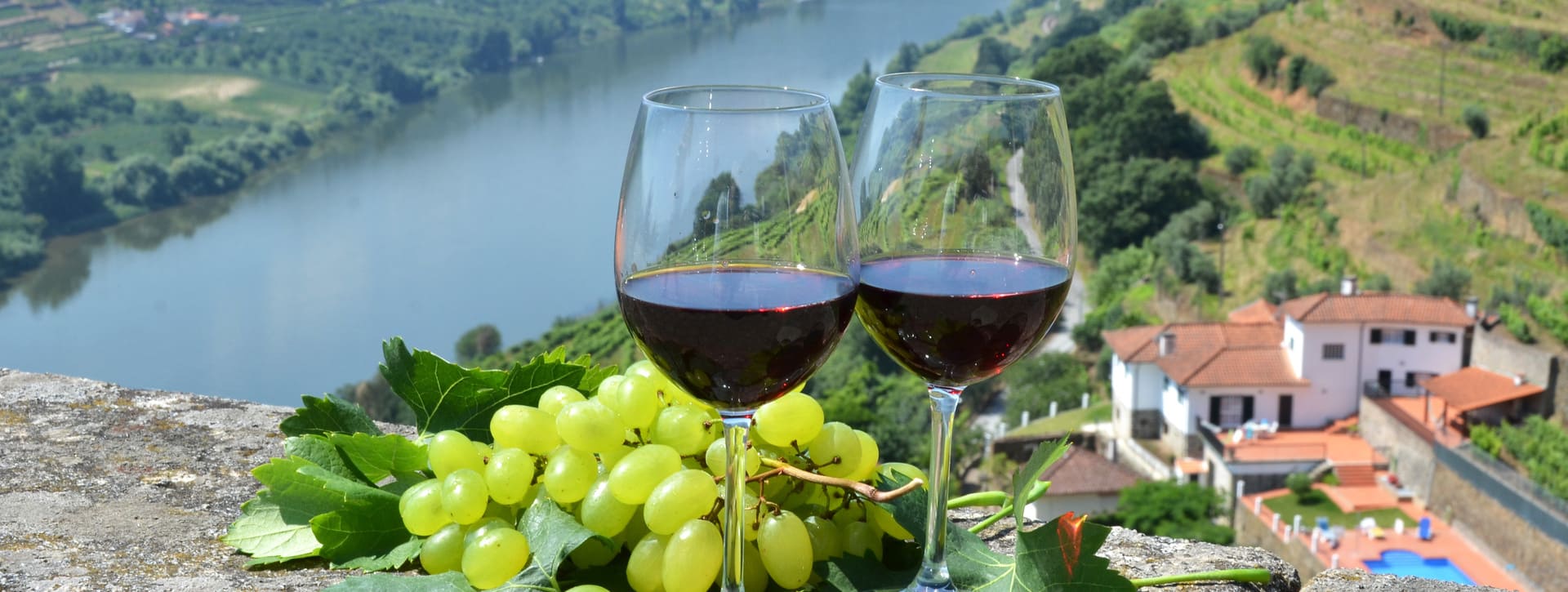 Excursión en la esencia vinícola del Valle del Duero y Amarante 
