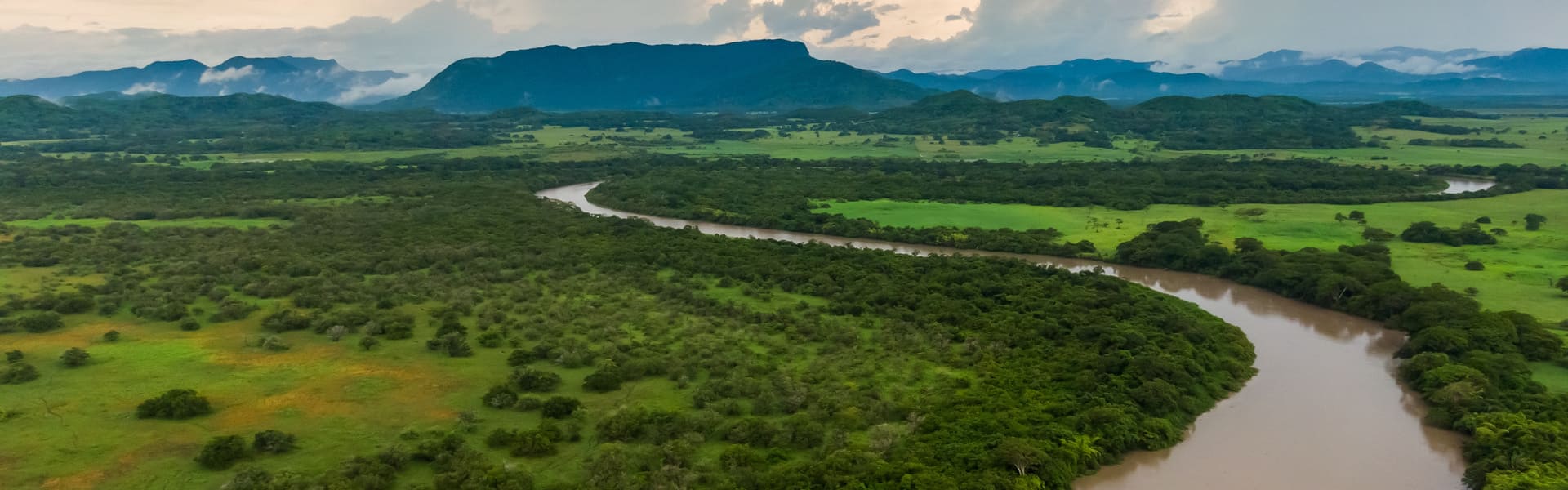 Tour en barco por el Parque Nacional de Palo Verde 