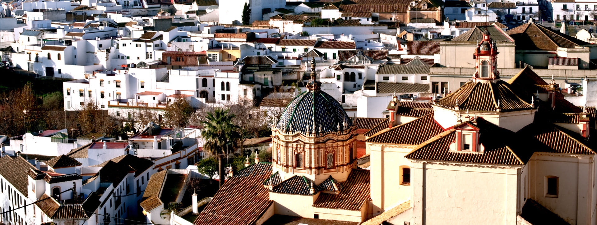 Excursión a Carmona: un tesoro escondido 