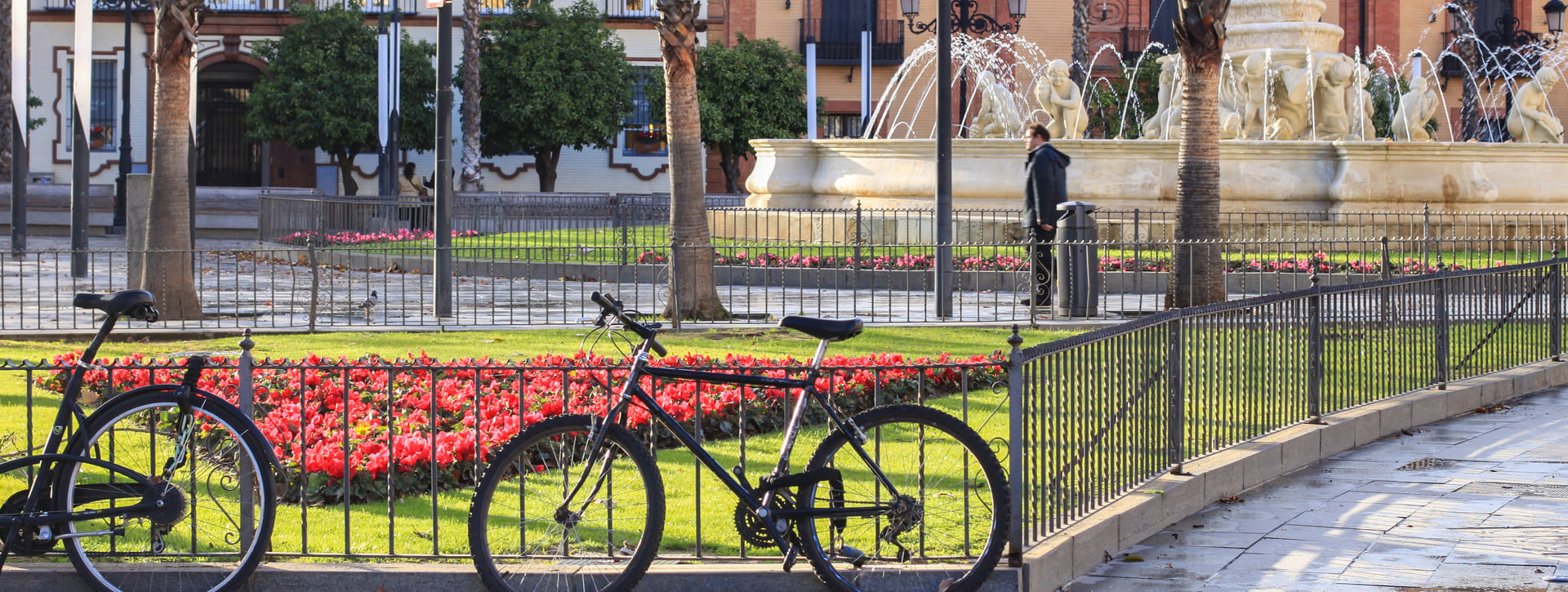 Tour en bicicleta: la mejor manera de conocer Sevilla