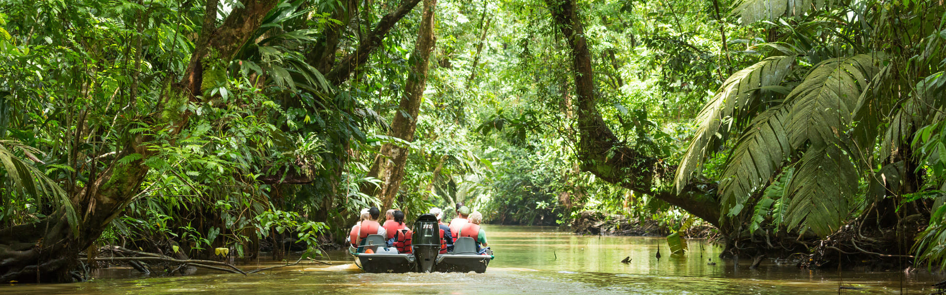 Rafting en el río Tenorio en Aguas Blancas