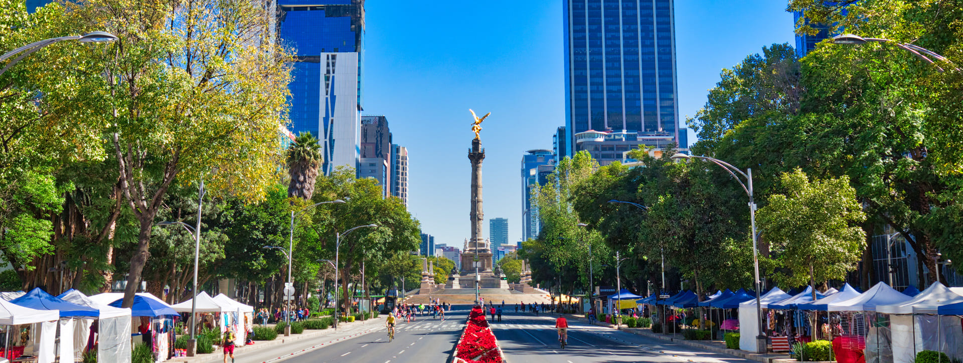 Ciudad de México al Completo 