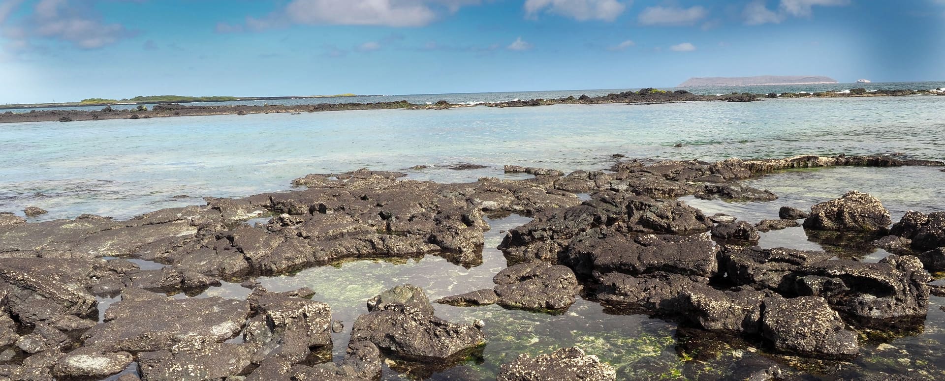 Excursión al Islote de las Tintoreras 