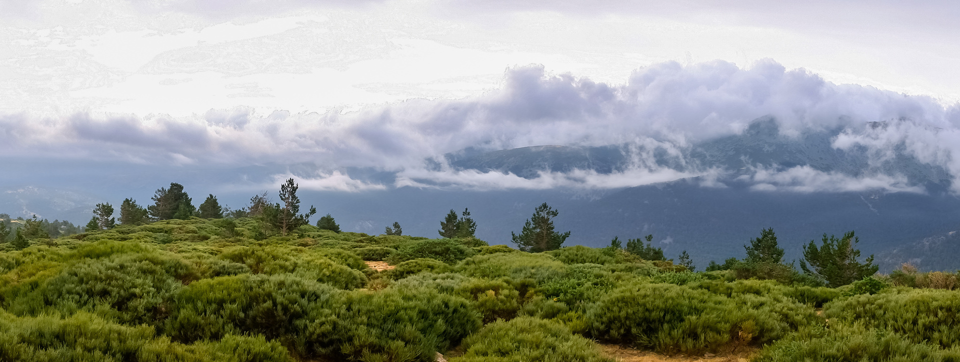 Excursión al Parque Nacional de Guadarrama 