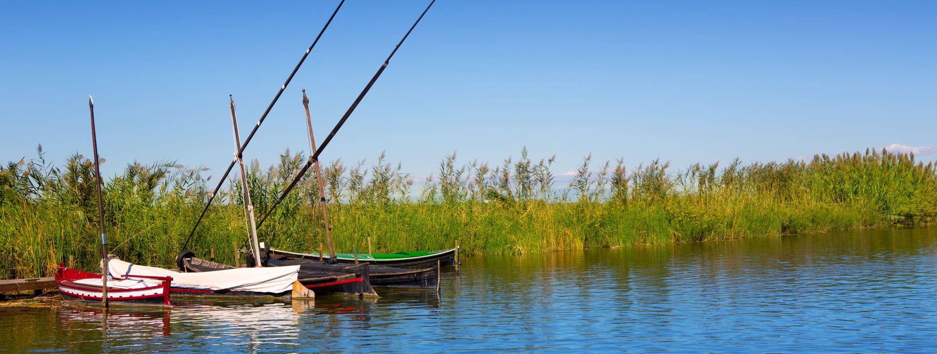 Tour por el lago de la Albufera + paella