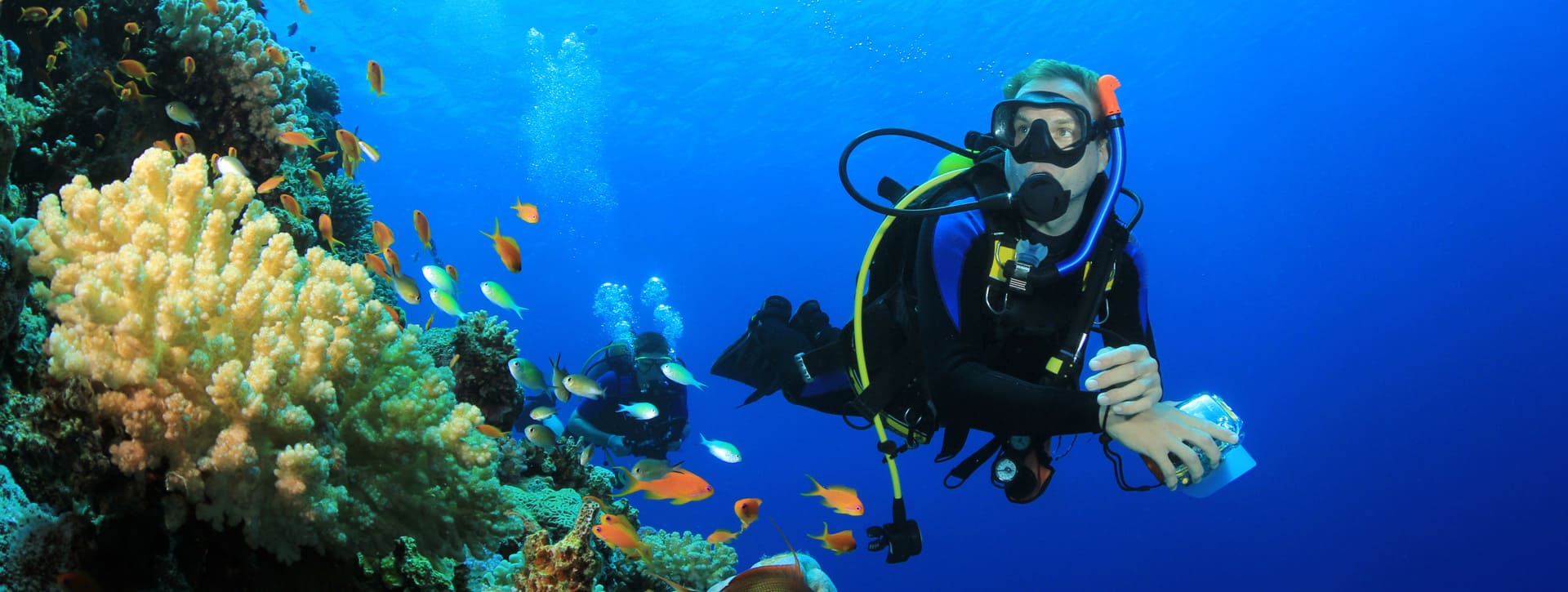 Bucea en Abades: descubre el fondo marino