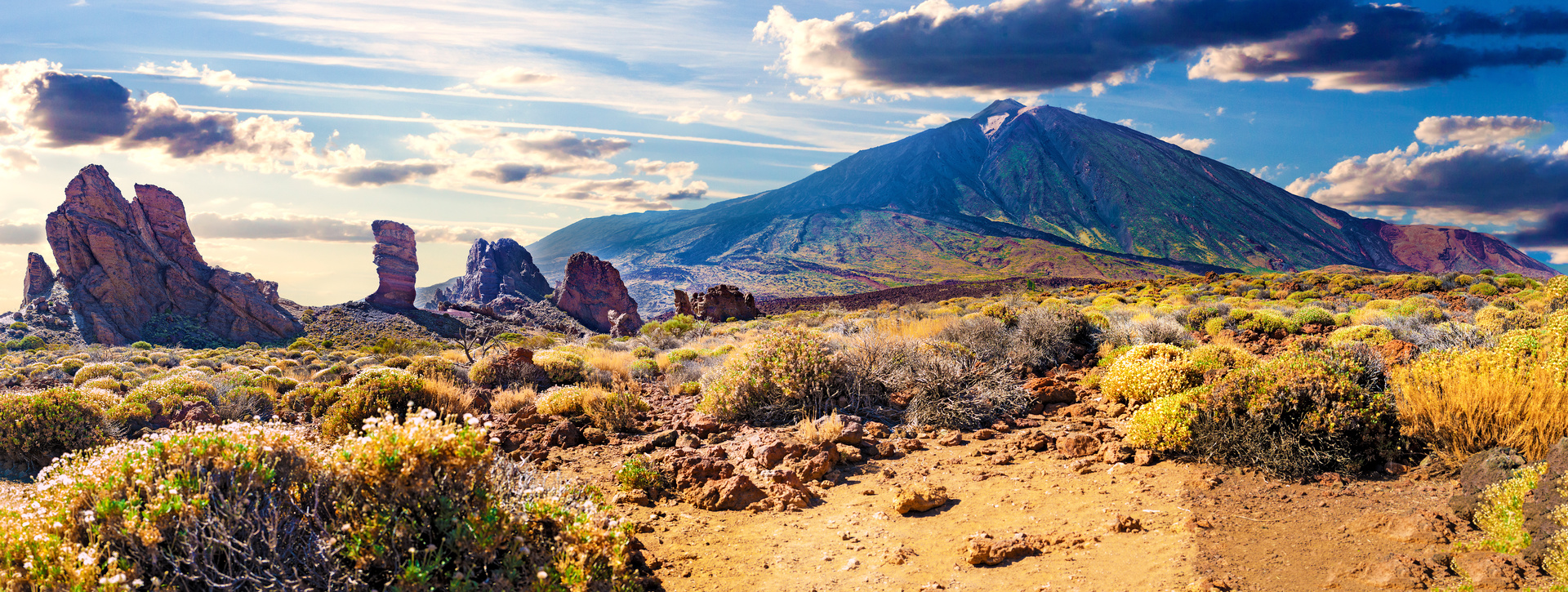 Excursión privada al Parque Nacional del Teide