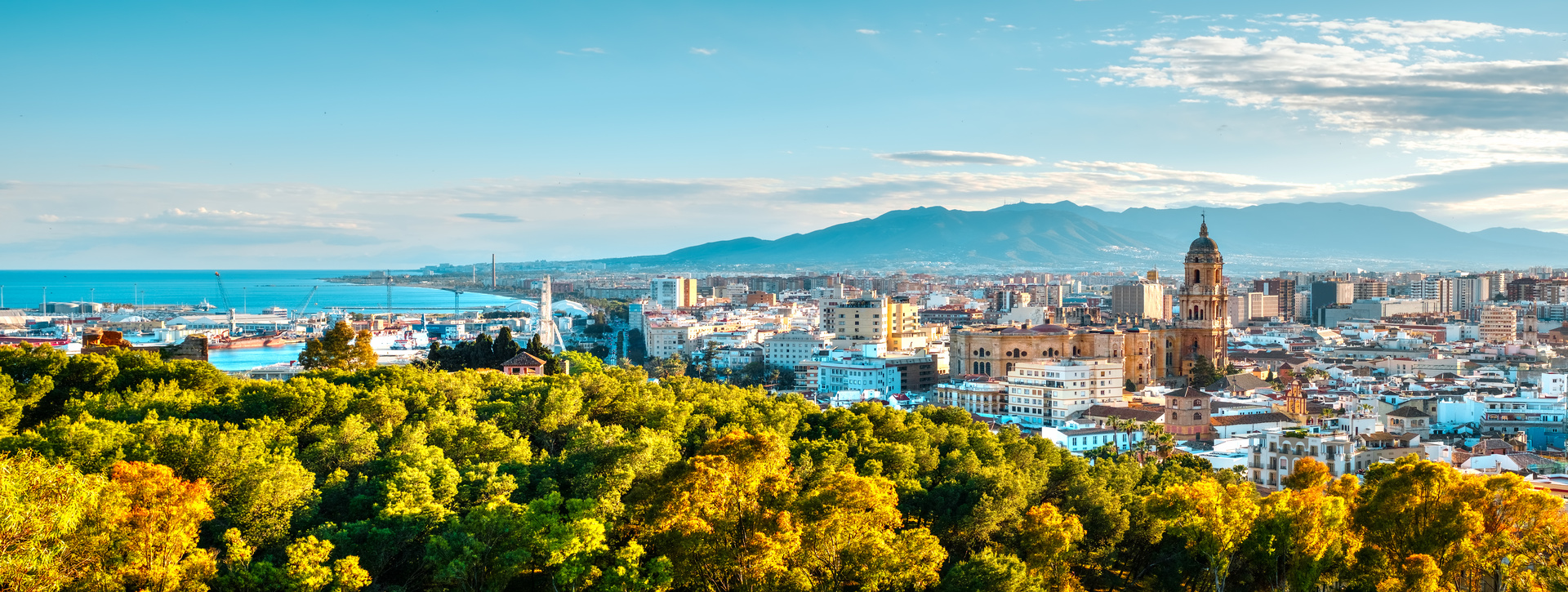 Tour completo por Málaga con entradas