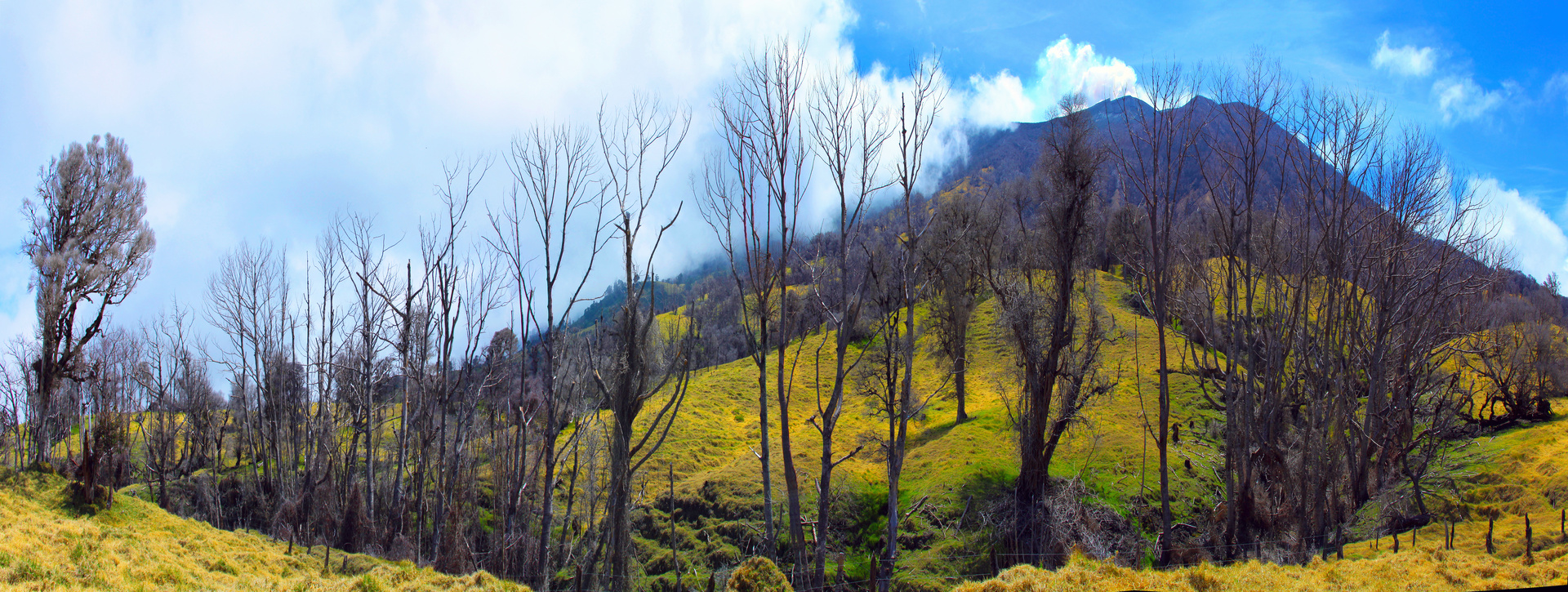 Provincia de Cartago