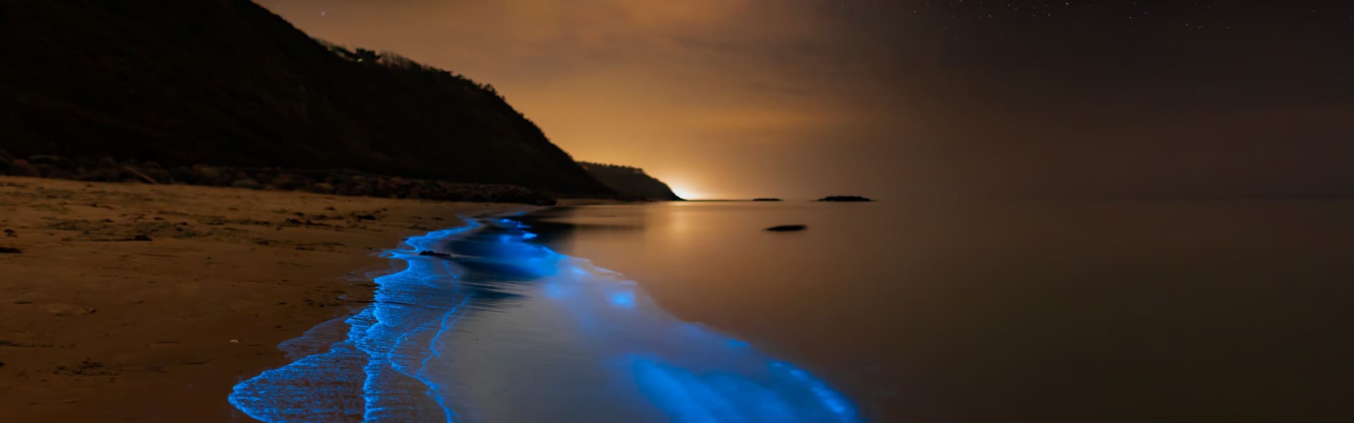 Tour en kayak de atardecer y bioluminiscencia en el Golfo Dulce